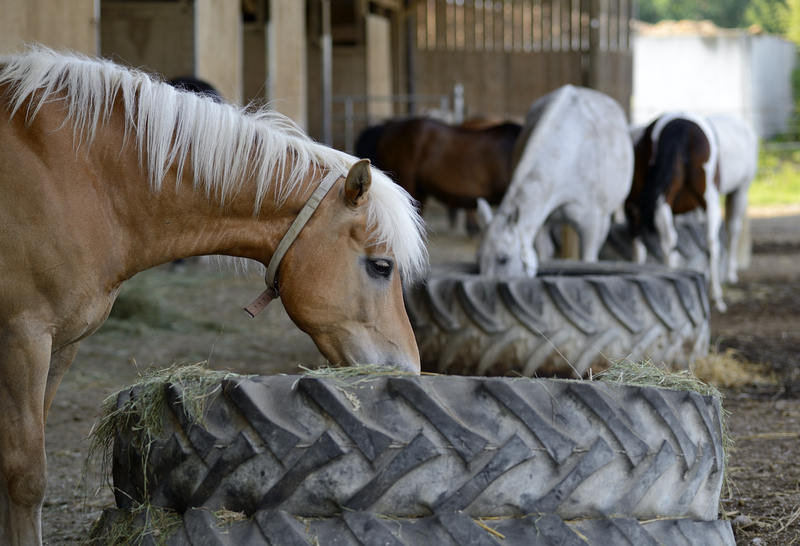 Bulky Waste Solutions for Every Budget and Household